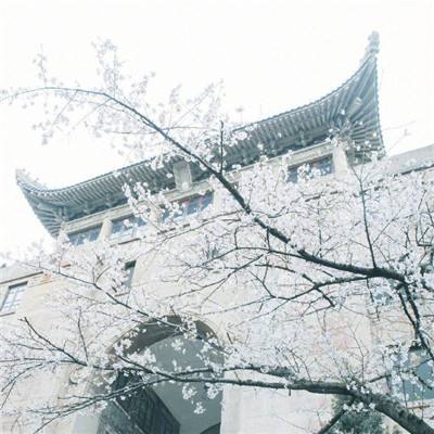 北京市发布高温黄色预警 4项预警防护指引请收好
